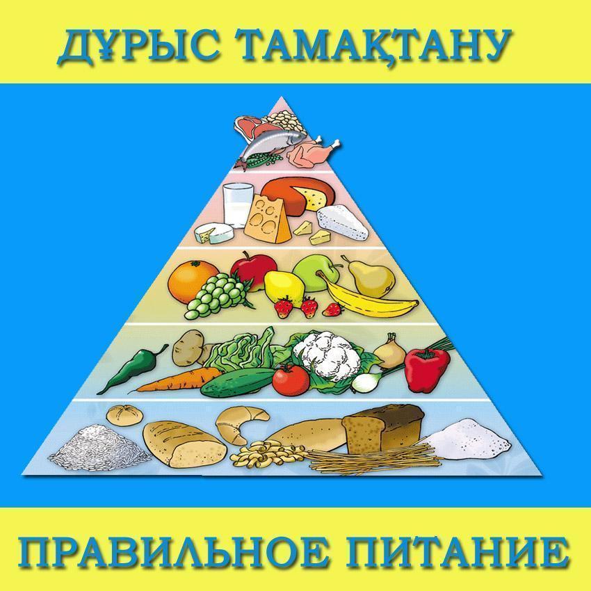 Дұрыс тамақтану пирамидасы